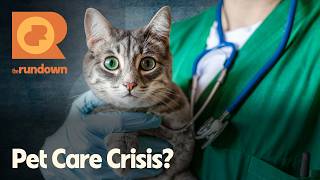 What's Behind the Rising Costs of Pet Care? | The Rundown