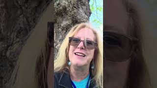 Seminole County Real Estate Numbers for Week ending April 21, 2026 - from London