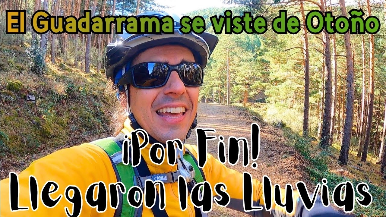 Primera Salida por los BOSQUES de BOLETUS tras las primeras LLUVIAS del OTOÑO 2025