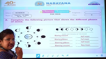 4TH MARCH KN CLASS V SCIENCE AMAZING ASSIGNMENT KEY