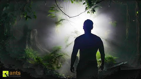 A New Chapter in the Rainforest Vivarium: Unfolding Mysteries