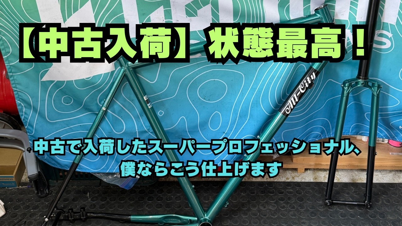 中古入荷】ALL-CITY スーパープロフェッショナル、エレファント
