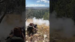 320 bull taken at 350 yards with long range muzzle loader