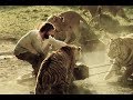 Roar a movie made with 150 untrained lions and tigers