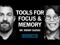 Dr. Wendy Suzuki: Boost Attention and Memory with Science-Based Tools | Huberman Lab Podcast