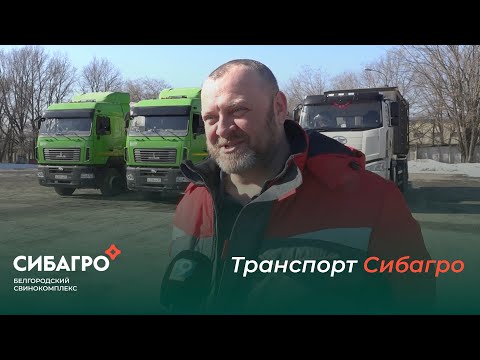 Видео: Территория СИБАГРО  Транспорт