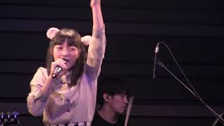 物語 / 松山あおい  アコーステッィクバンドLIVE