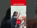 Woman Bathes Pet Dog at Haridwar Ghat | Viral Video
