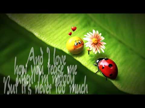 Cant Take My Eyes Off You by Lady Antebellum (Instrumental with Lyrics ...