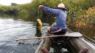 Pesca de tucunaré Açu na linha de mão (arrastando a canoa)