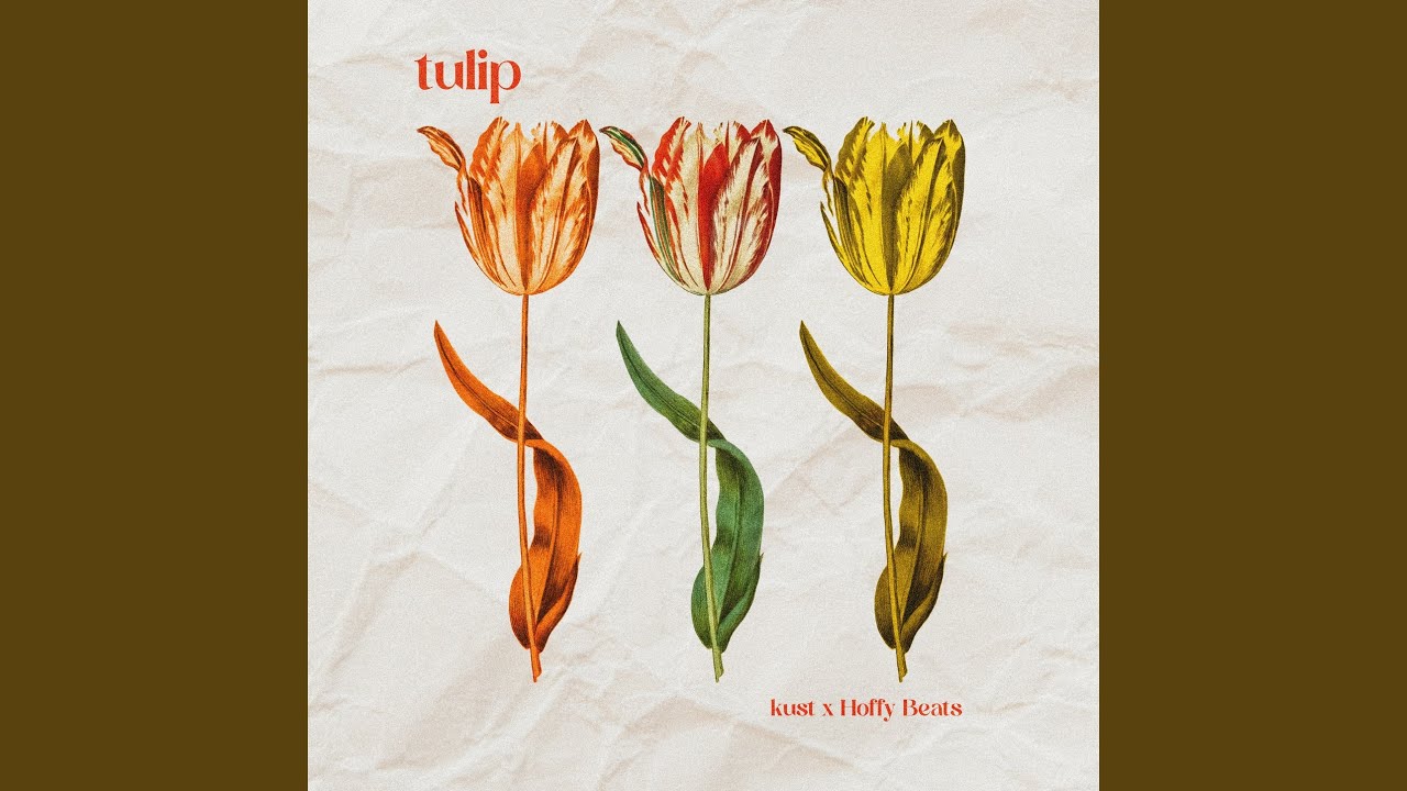 Watch tulip on YouTube Watch tulip on YouTube