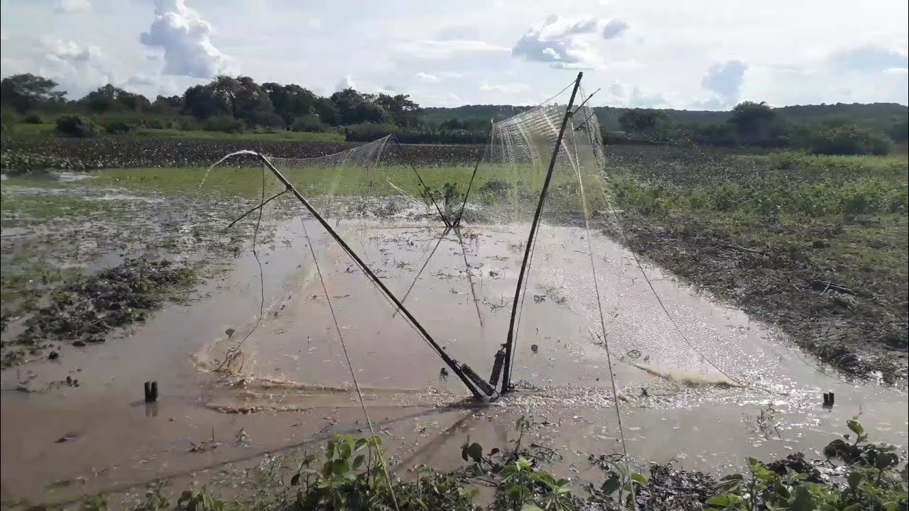 rede de esperar merreca