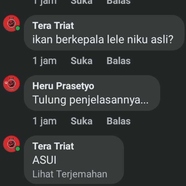 Apakah benar, jika ikan berkepala lele itu asli?