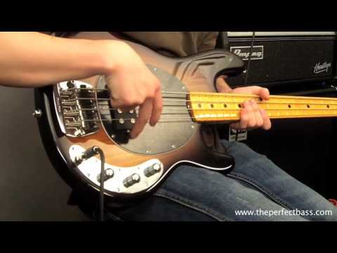 Music Man Classic StingRay w/ Maple Fingerboard - The Perfect Bass