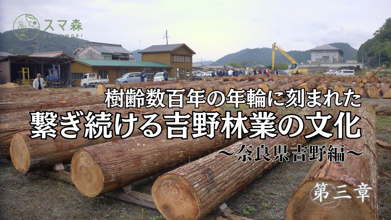 【森と繋がる経営】吉野杉の年輪に刻まれた文化とは？〜年に1度の原木市に参加してみた〜