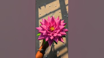 DIY Lotus Flower Making Idea 🪷 #youtubeshorts #viralshort #lotusflower #lotus #howtomake #papercraft