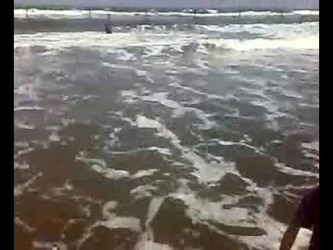 اطفال ديرب نجم في راس البر