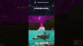 PANTHEONSENSE rust cheat ft ARAYAS CHEATS