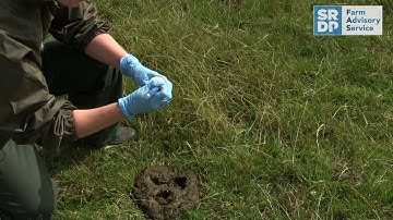 How to collect faecal samples