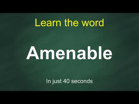 How to Pronounce Amenable | Meaning, Examples & Synonyms