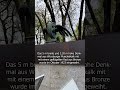 Denkmal für die Gefallenen der Bayerischen Eisenbahntruppe @simianproductions #denkmal