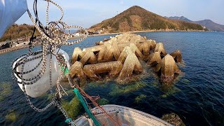 Fish Hideout?! Setup a net around a Tetrapod.