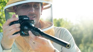 FILMING Bees with the Laowa 24mm PROBE! screenshot 5