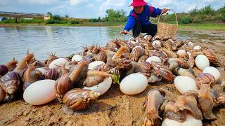 Collecting Giant snails and Wild eggs in the field