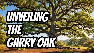 Unveiling The Garry Oak - An Ecosystem In Peril