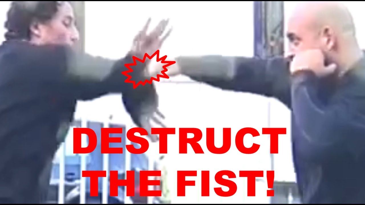 Zerstöre die Faust, die Dich schlägt | Privat-Training mit Sifu Gregor