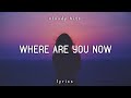 Diplo, Skrillex & Justin Bieber- Where Are Ü Now (Lyrics)