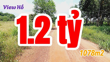 Đất Dầu Tiếng | View hồ dầu tiếng Siêu rẽ 11 x 98 GIÁ NGỘP#581