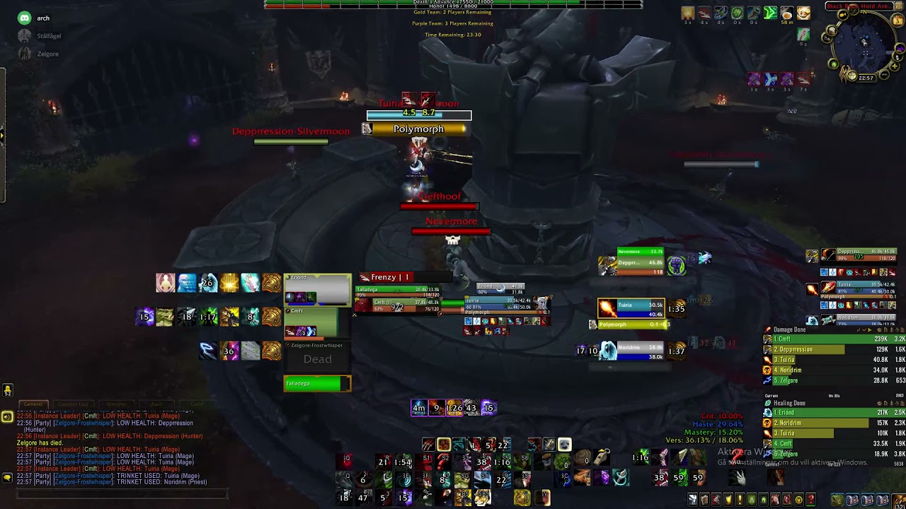 Hunter/Hpriest 2v3 Arena 9.1.0