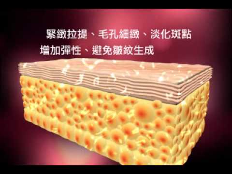 產品功效.wmv