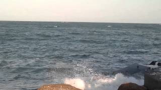 AGUILAS2