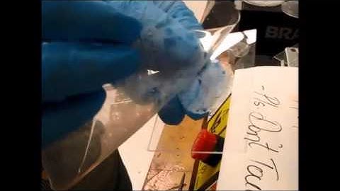 Gecko Gaskets for Self-Sealing and High Strength Reversible Bonding of Microfluidics