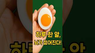 중년의 보약, 달걀 한 알의 힘!                #운동하는여자 #지식 #체중감량