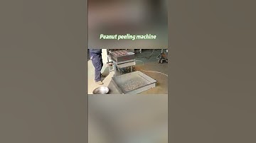 Revolutionize Your Peanut Processing with the Gondor Peanut Skin Remover Machine #shortsvideo