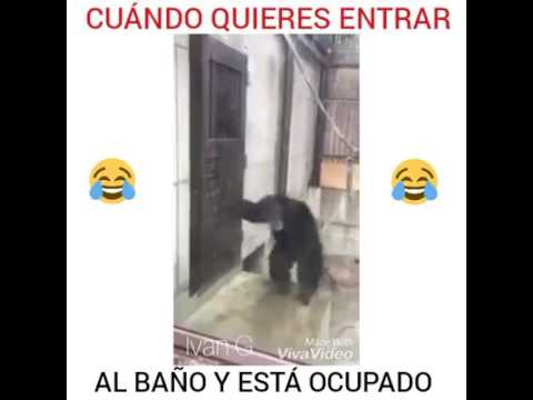 Cundo quieres ir al baño y esta ocupado