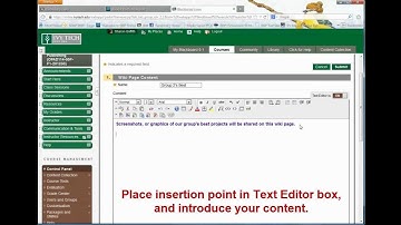 Adding Images to Bb Wiki Demo