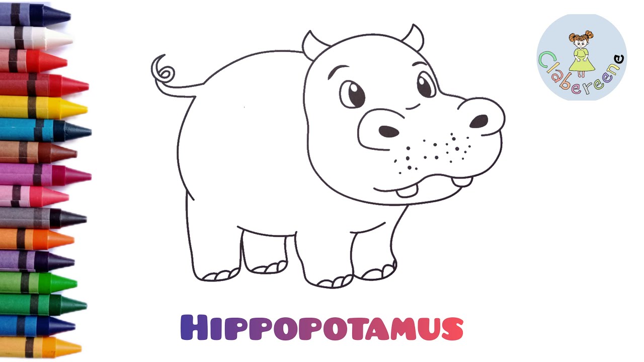 How to Color a Hippopotamus 🦛🦛🦛 (easy step) - Clabereene - YouTube