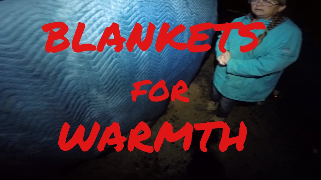 Blankets for warmth dumpster diving YouTube