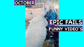 TRY NOT TO LAUGH!! 😂| BEST FAILS OF THE WEEK OCTBER 2020😂