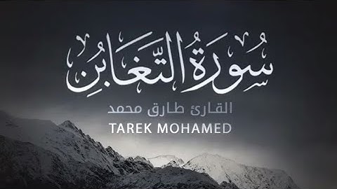 Qari Tariq Muhammad Surah At Taghabin | سورة التغابن للقارئ طارق محمد   تلاوة رائعة