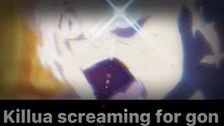 Killua Screams For Gon-Little Edit-