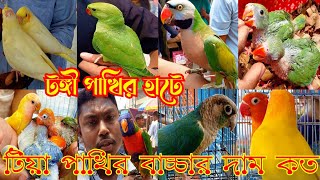  টঙ্গী পাখির হাটে টিয়া পাখির বাচ্চার দাম কত || Tongi Bazar pakhir hat || Gazipur tongi pakhir hat 