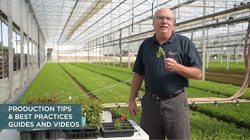 IPPS Sponsor: Bailey