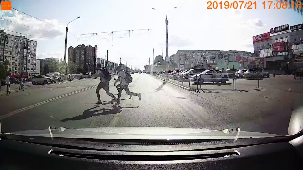 Птицы бросаются под машину