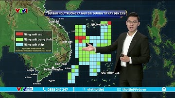 Dự báo thời tiết 9h10 - 19/06/2023 | Ngư trường cá ngừ đại dương đến 23/6 | VTVWDB