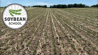 Soybean School: Planting no till soys after a BIG corn crop